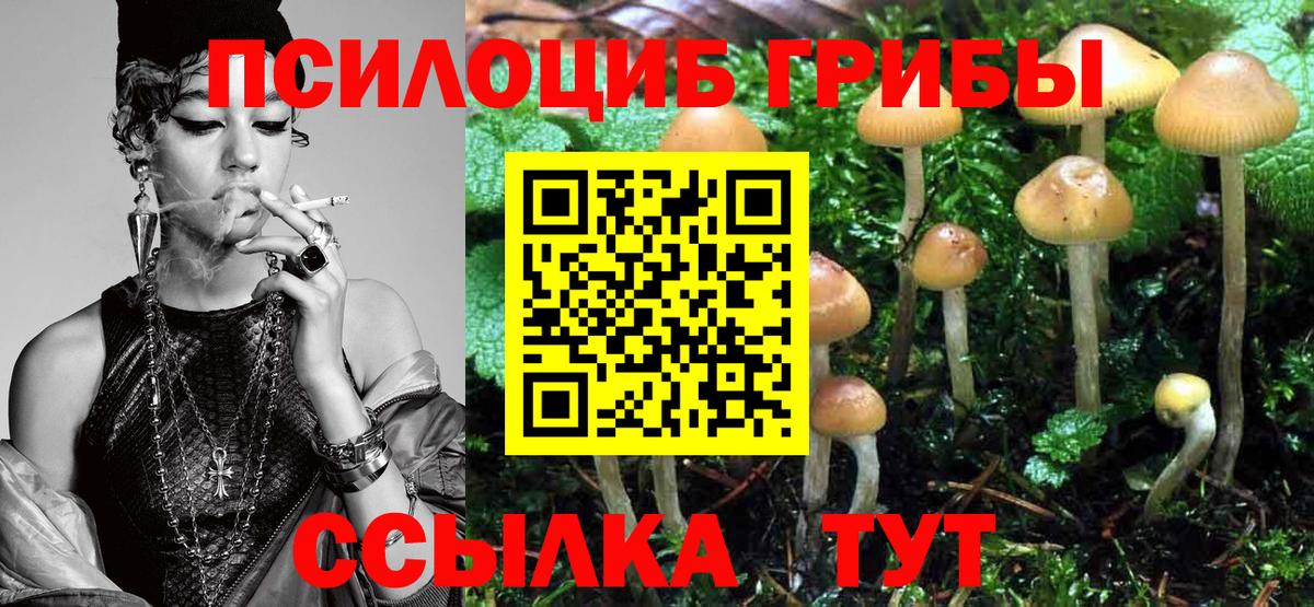 Псилоцибиновые грибы Cubensis Шуя